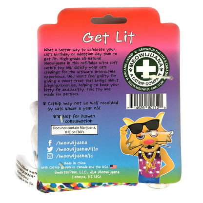 Get Lit Refillable Birthday Cake
