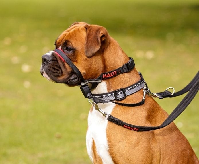 Halti Optifit Headcollar