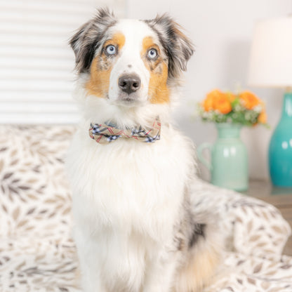 High Street Plaid Bow Tie