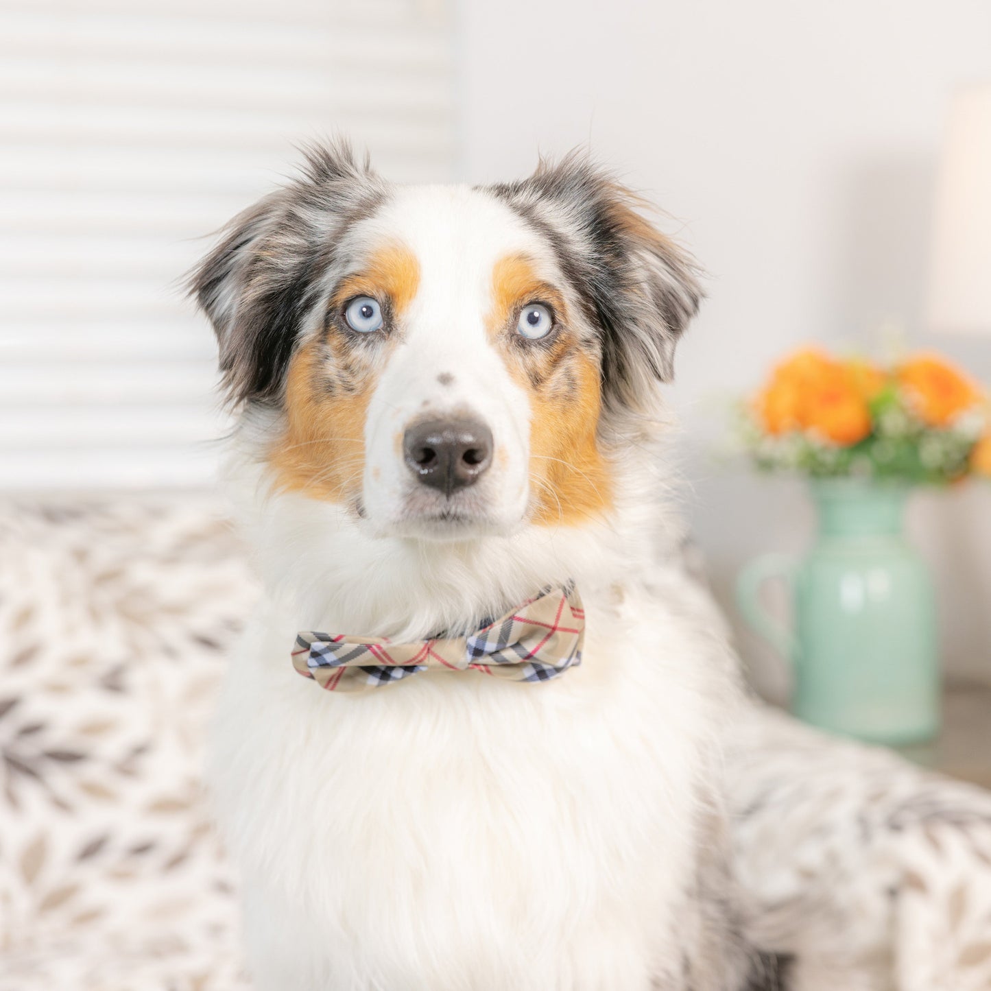 High Street Plaid Bow Tie