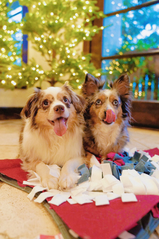 Star Snuffle Mat