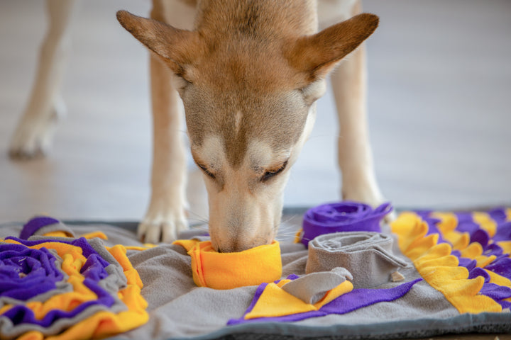 Fun House Snuffle Mat - Purple