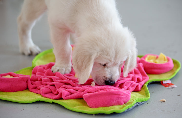 Four Leaf Snuffle Mat