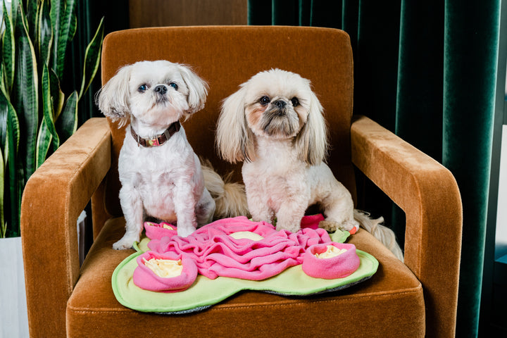 Four Leaf Snuffle Mat