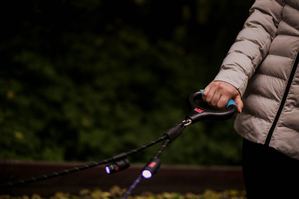 2 Dog Rope Leash with Lights (Rechargeable)