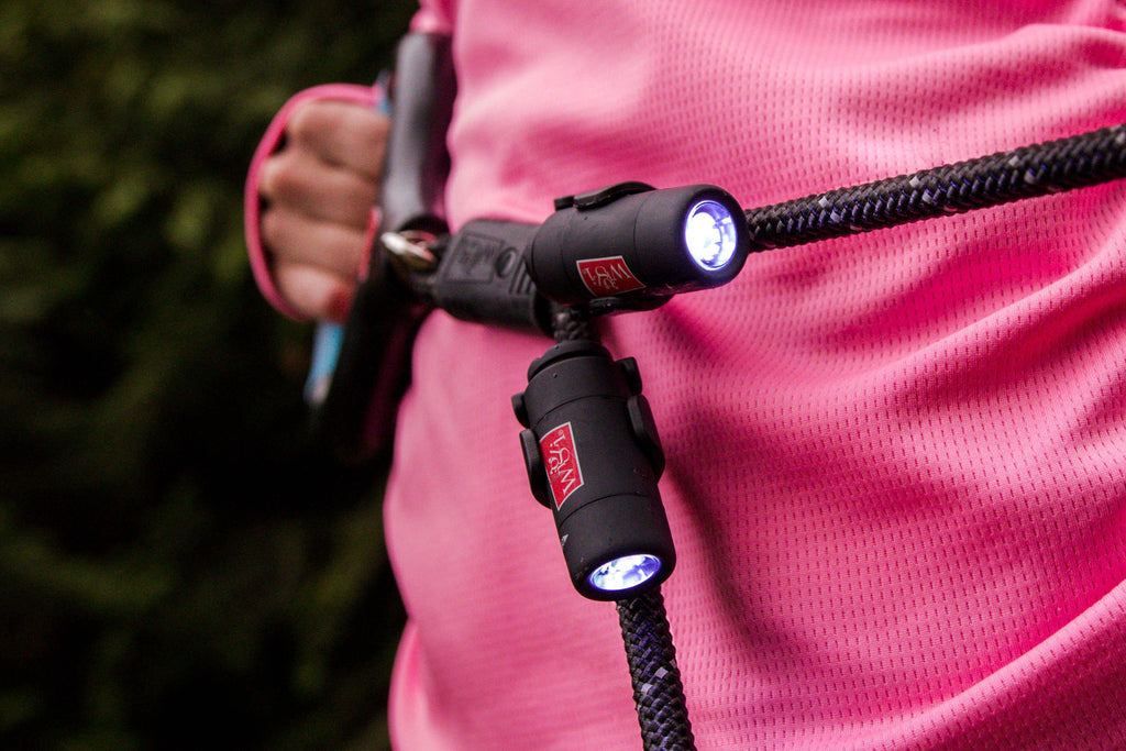 2 Dog Rope Leash with Lights (Rechargeable)