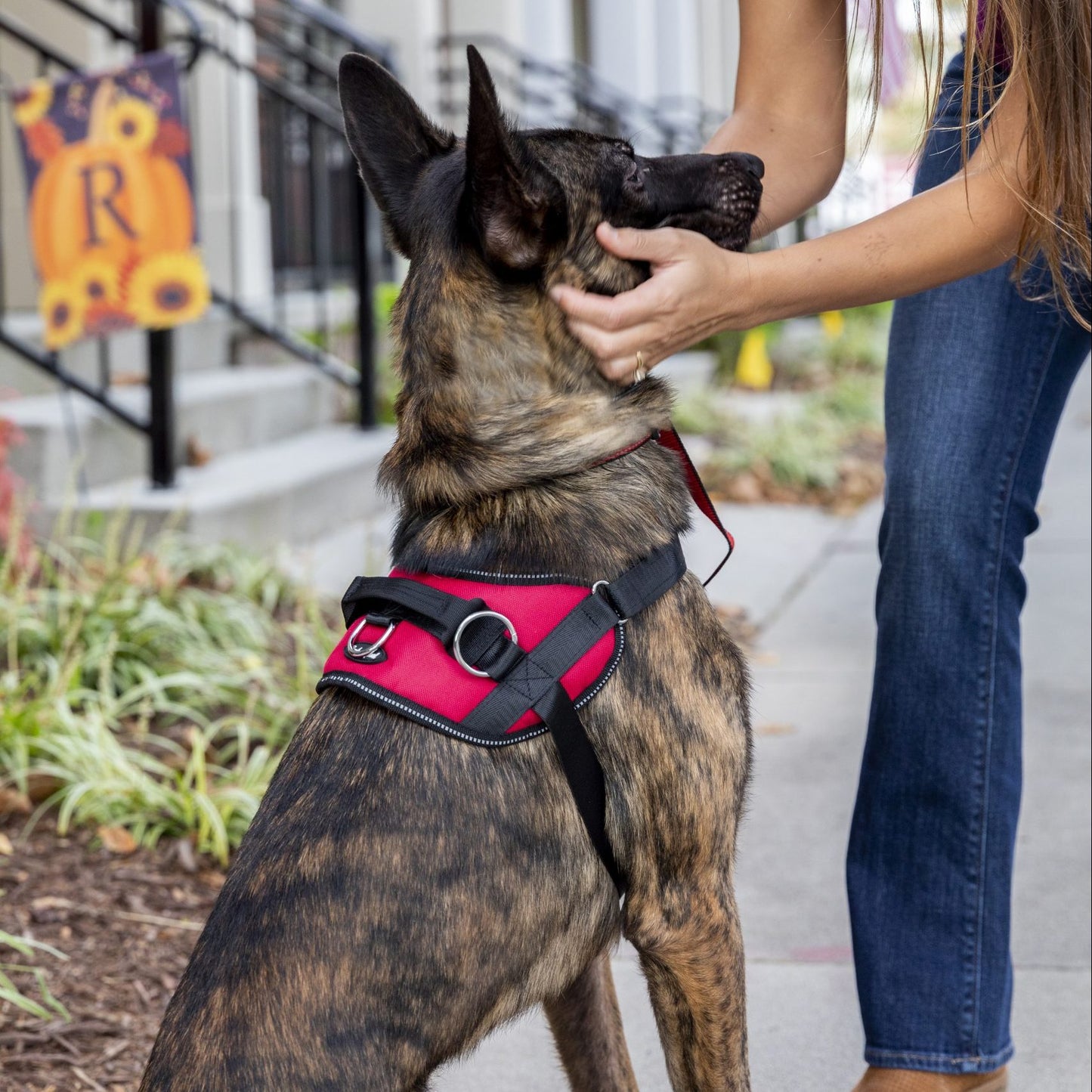 Red Reflective No-Pull Harness