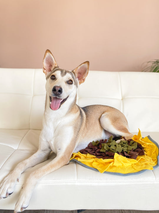 Sunflower Snuffle Mat