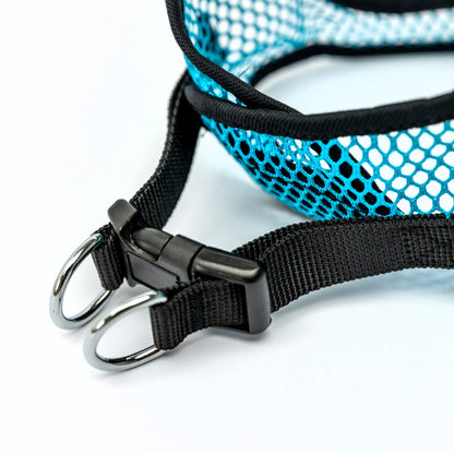 Turquoise Netted Step In Harnesses