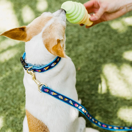 Ice Cream Dog Lead