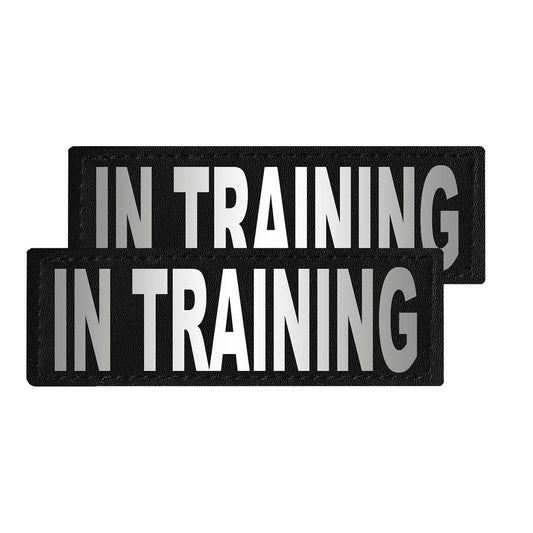 Removable Reflective Patches (Set of 2) - IN TRAINING