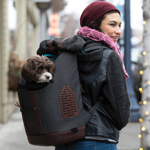 K9 Rucksack