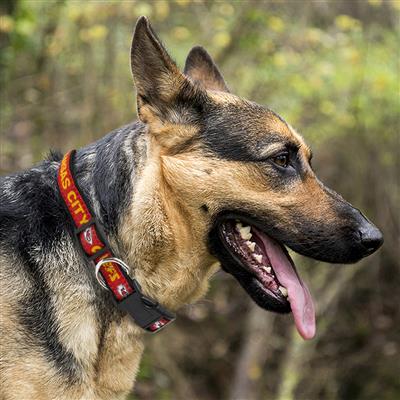 NFL Kansas City Chiefs Dog Collar