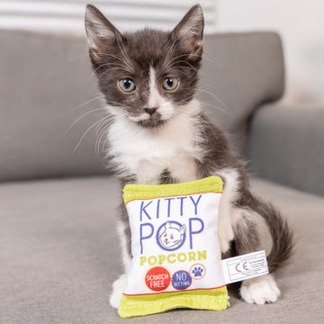 Kitty Pop Cat Toy