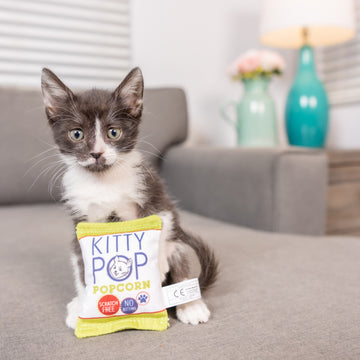 Kitty Pop Cat Toy