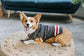 Hand Knit Wool Boyfriend Dog Sweater