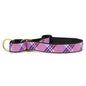 Lavender Lattice Martingale Dog Collar
