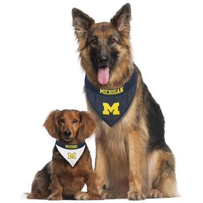 Michigan Wolverines Mesh Dog Football Jersey