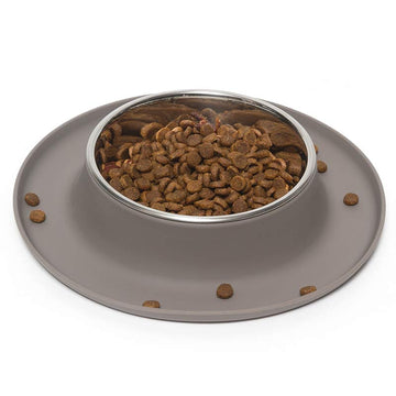 Single Silicone Feeder with Stainless Bowl