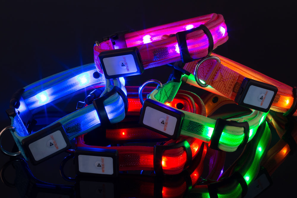 LED USB Rechargeable Dog Collar