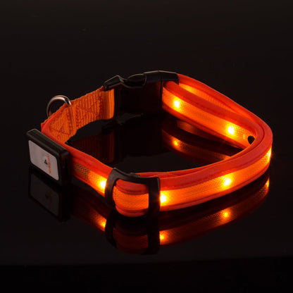 LED USB Rechargeable Dog Collar