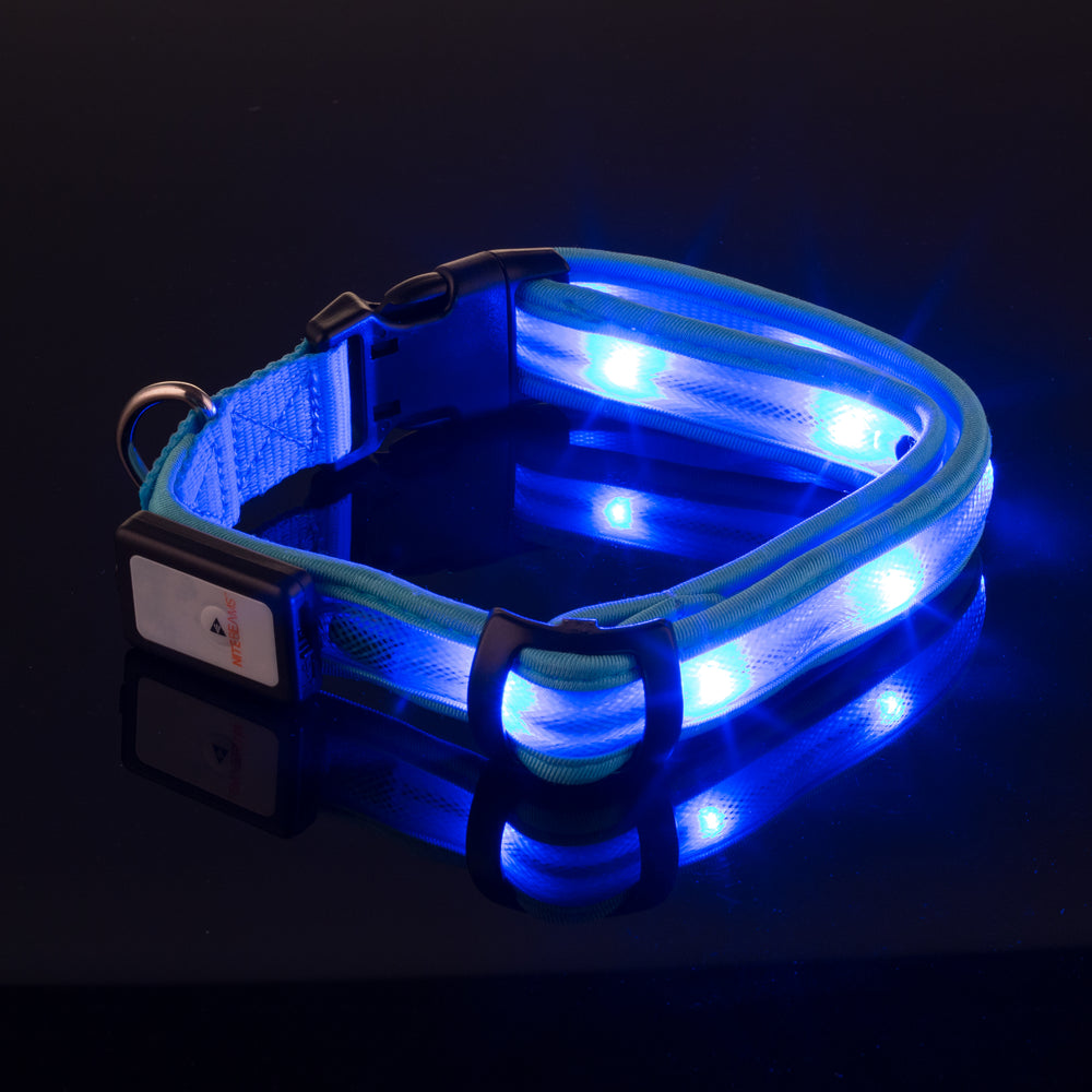 LED USB Rechargeable Dog Collar