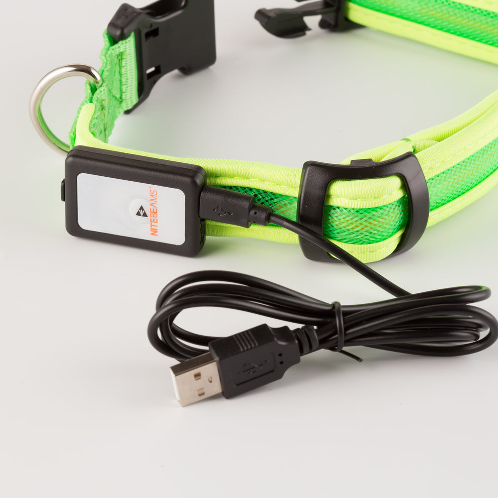 LED USB Rechargeable Dog Collar