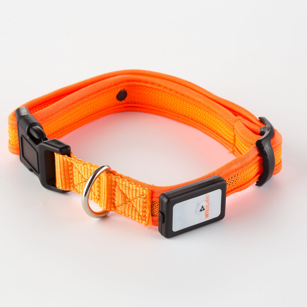 LED USB Rechargeable Dog Collar