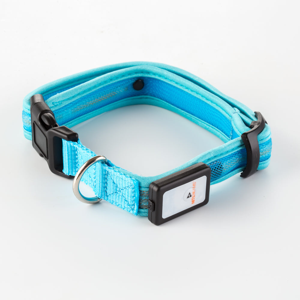 LED USB Rechargeable Dog Collar