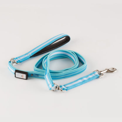 LED USB Rechargeable Dog Leash