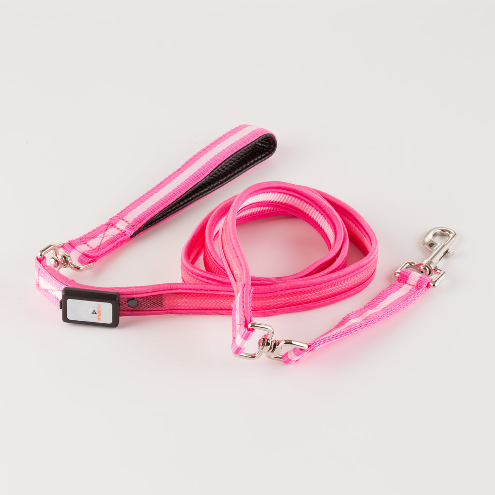 LED USB Rechargeable Dog Leash