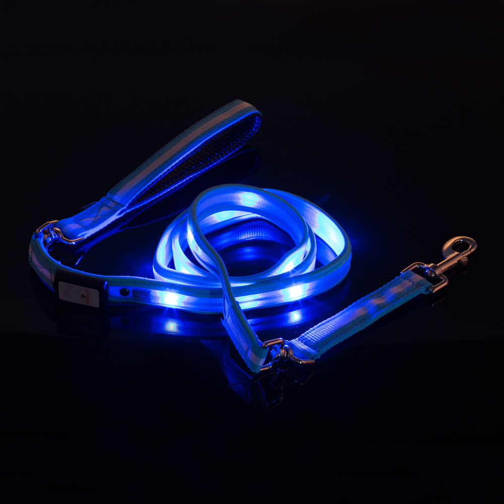 LED USB Rechargeable Dog Leash