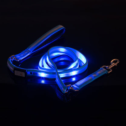 LED USB Rechargeable Dog Leash