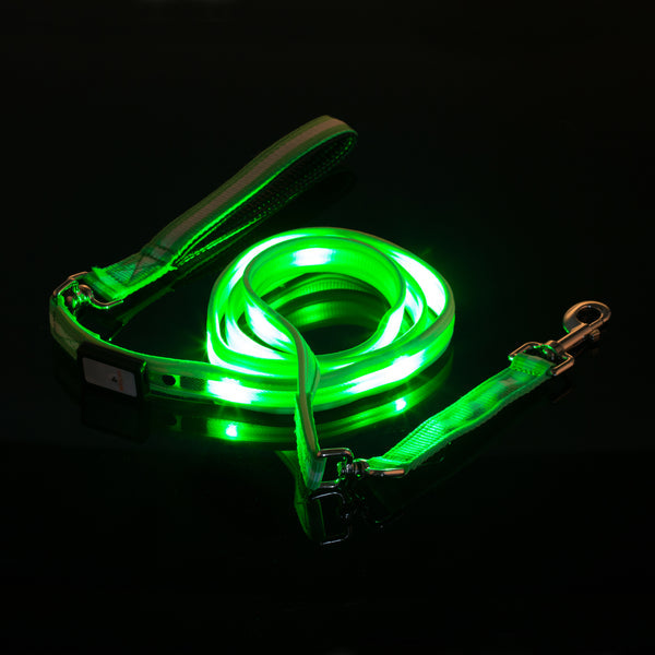 LED USB Rechargeable Dog Leash