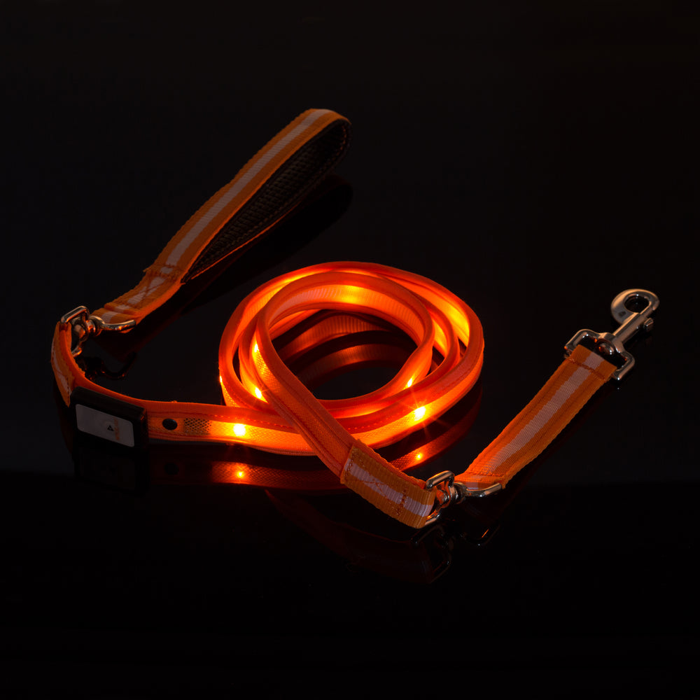 LED USB Rechargeable Dog Leash