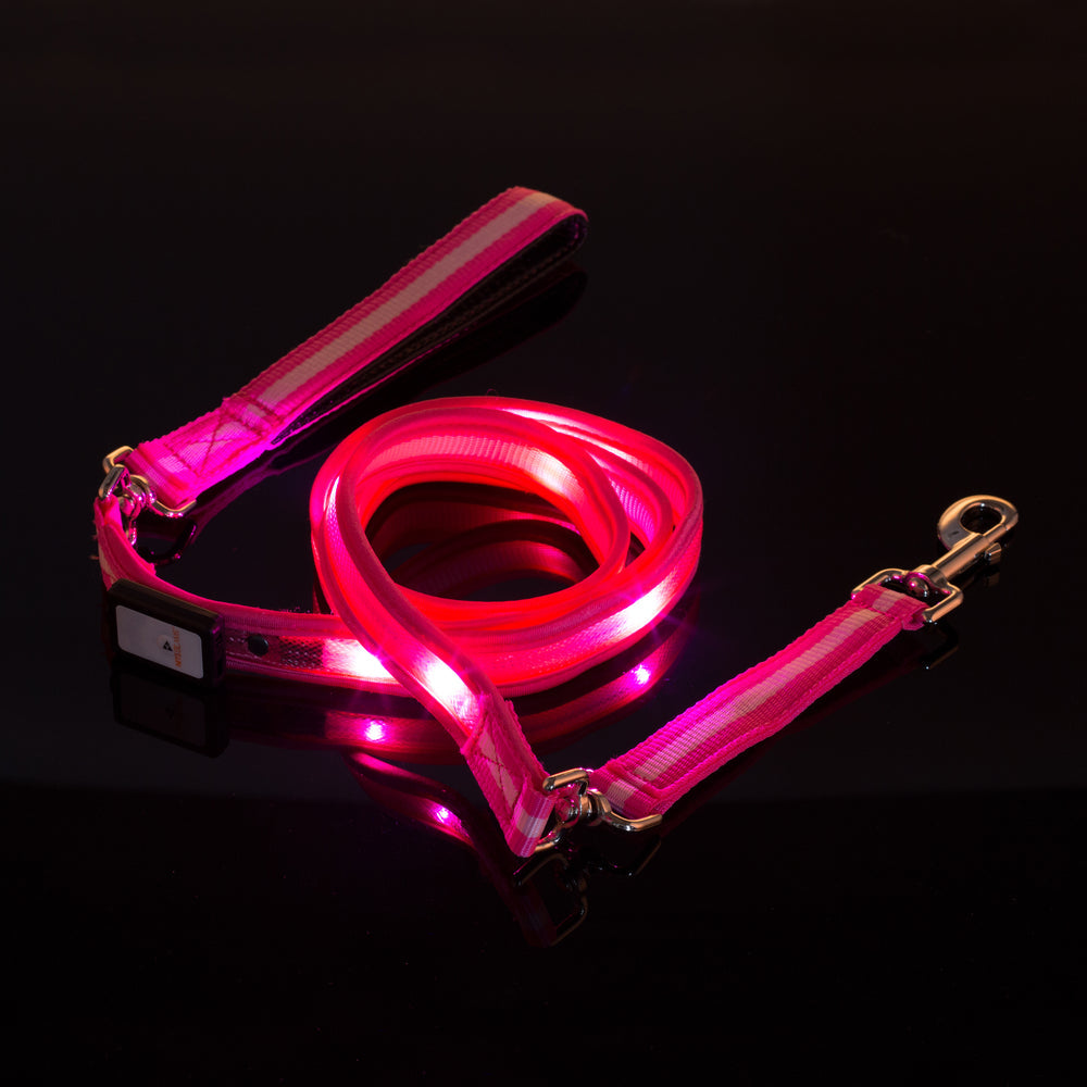LED USB Rechargeable Dog Leash