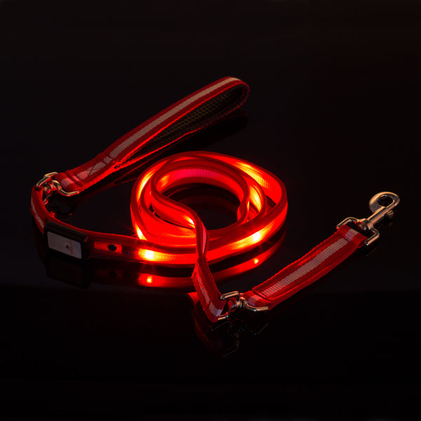 LED USB Rechargeable Dog Leash