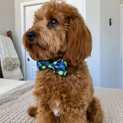 Navy Check Bow Tie