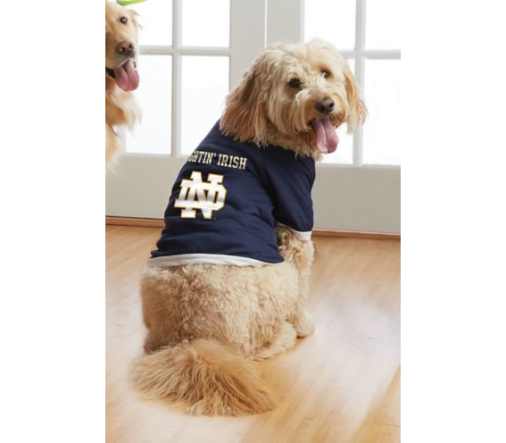 Notre dame dog deals jersey