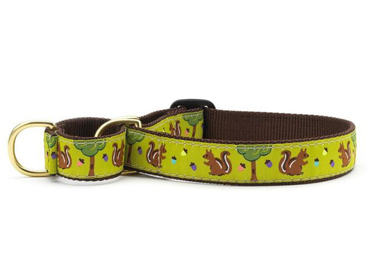 Nuts Martingale Dog Collar