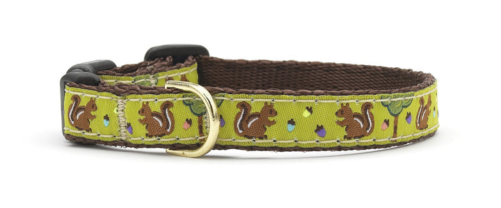 Nuts Small Breed Dog Collar