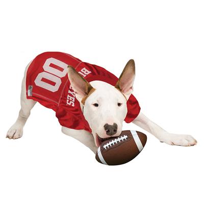 NCAA Ohio State Buckeyes Pet Jersey