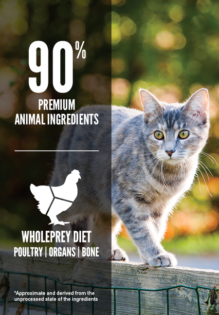 Orijen Dry Cat Food - Original Cat 12lbs