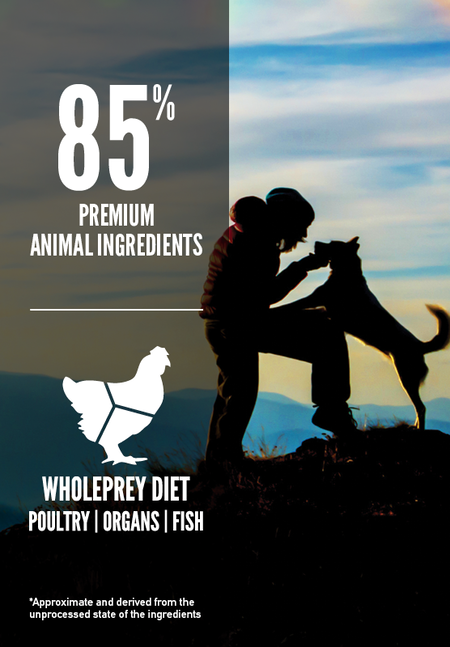 Orijen Dry Dog Food - Original