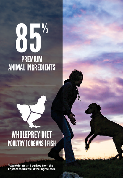 Orijen Dry Dog Food - Large Breed Puppy