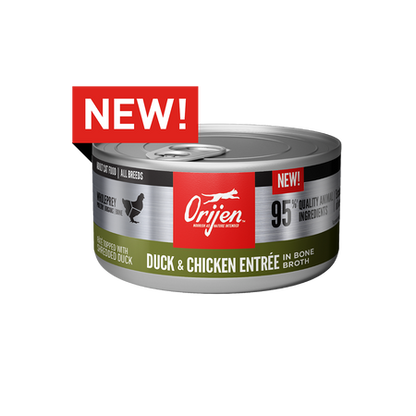 ORIJEN Wet Cat Food Duck & Chicken Entree