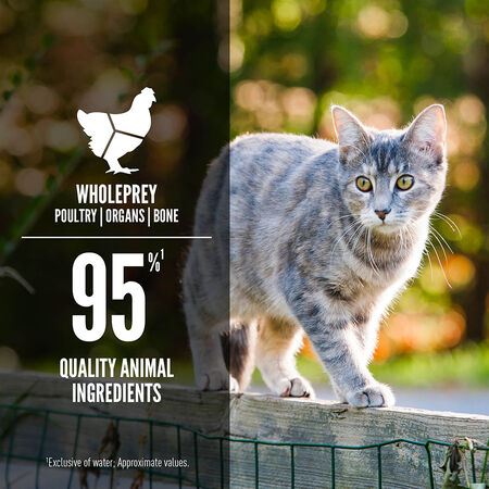 ORIJEN Wet Cat Food Duck & Chicken Entree