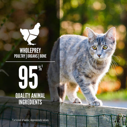 ORIJEN Wet Cat Food Duck & Chicken Entree