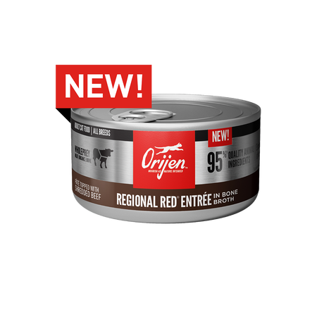 ORIJEN Wet Cat Food Regional Red Entrée Wet Cat Food, 3 oz