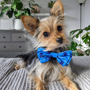 Octopus Garden Bow Tie